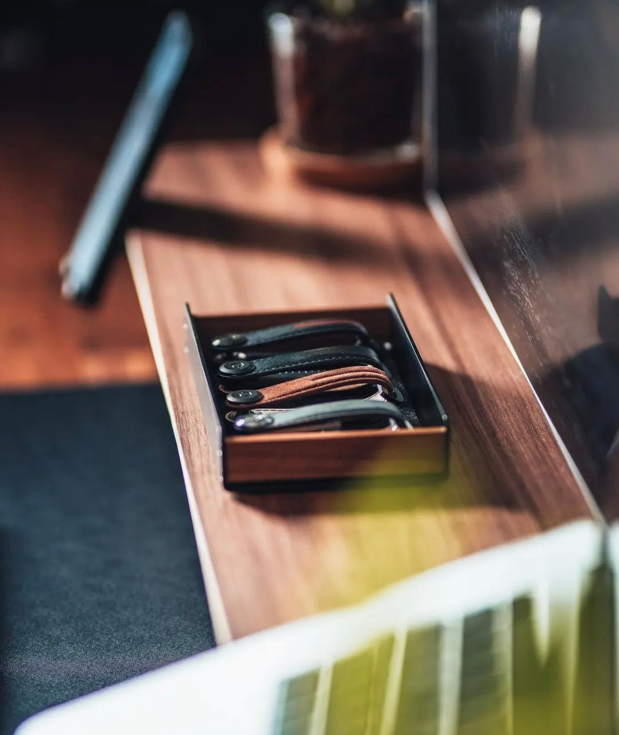 Black Walnut Pen Holder with Smooth Finish & Eco-Friendly Design